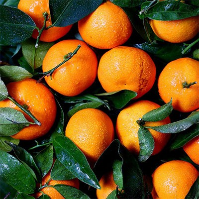 La Freschezza degli Agrumi: Arance, Mandarini e Clementine