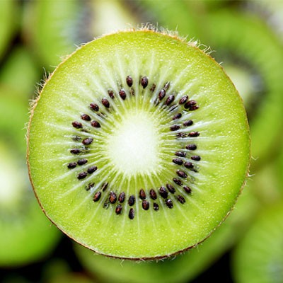 kiwi