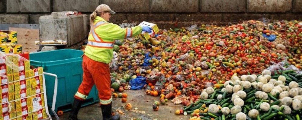 Come ridurre lo spreco alimentare?