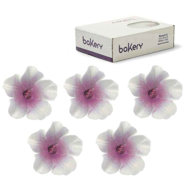 12 Decorazioni Azalee bianche con centro viola in zucchero Bakery