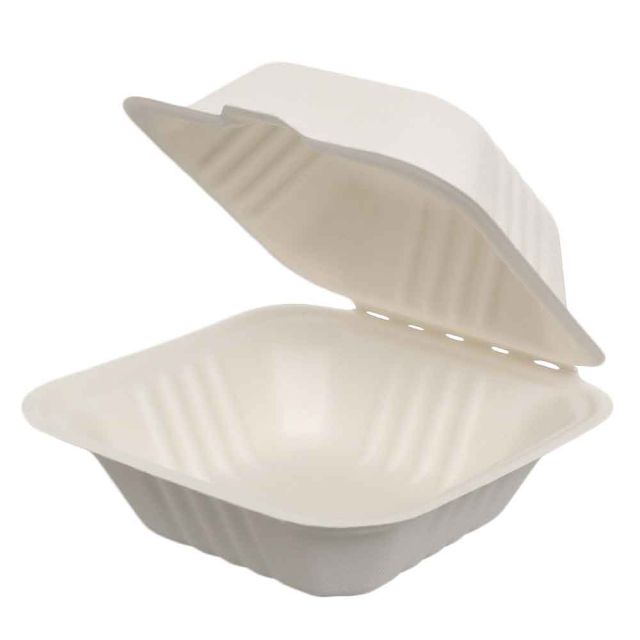 50 Box con coperchio asporto hamburger in polpa compostabili