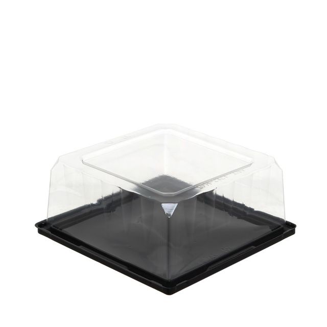 228 Contenitori quadrati per dolci Picasso con coperchio trasparente h 4,5 cm