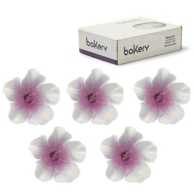 12 Decorazioni Azalee bianche con centro viola in zucchero Bakery
