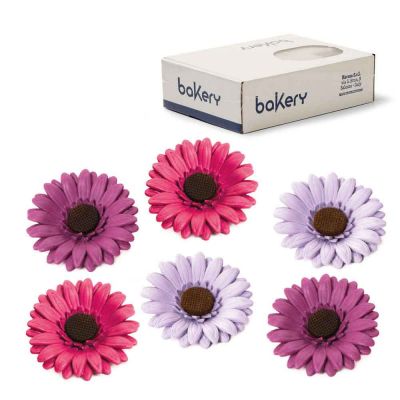 12 Decorazioni gerbere glicine fucsia violetto in zucchero Bakery