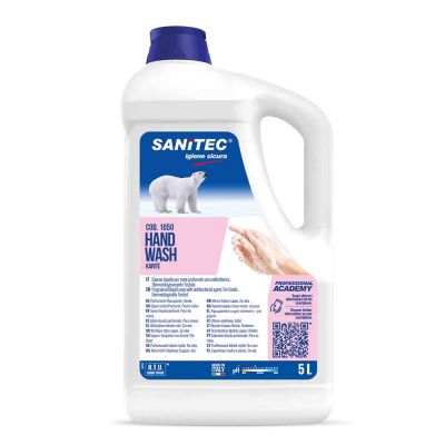 Hand Wash sapone liquido mani Karité Sanitec 5 L