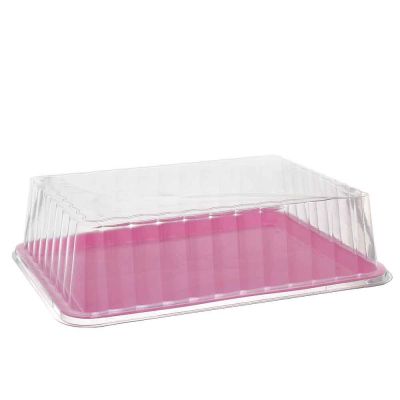 3 vassoi paperino in plastica rosa con coperchio alto