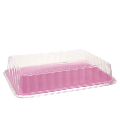 3 vassoi paperino in plastica rosa con coperchio basso