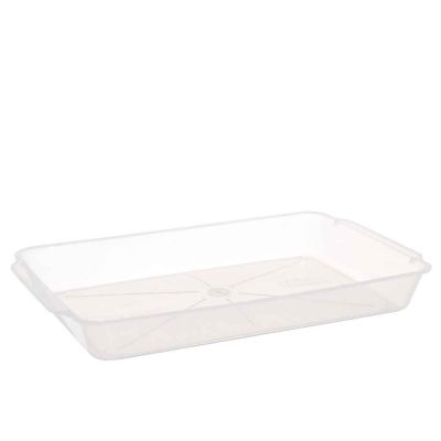 Contenitore per tiramisù in plastica riutilizzabile trasparente 36x23,2cm