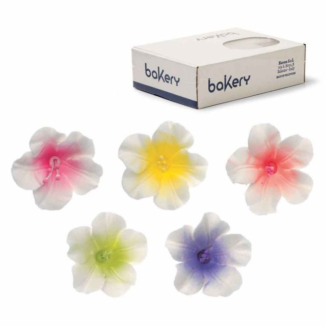 12 Decorazioni Azalee colorate in zucchero Bakery