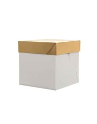 Scatola quadrata per panettone con coperchio dorato 20 x 20 x h 20 cm