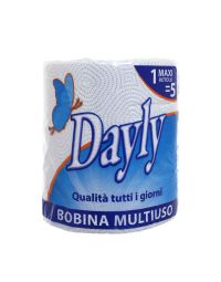 Rotolo Dayly asciugatutto bobina multiuso in pura cellulosa 2 veli 250 strappi