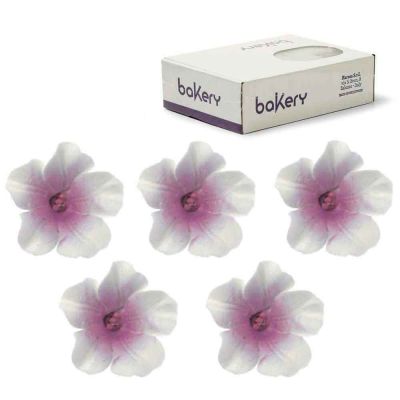 12 Decorazioni Azalee bianche con centro viola in zucchero Bakery