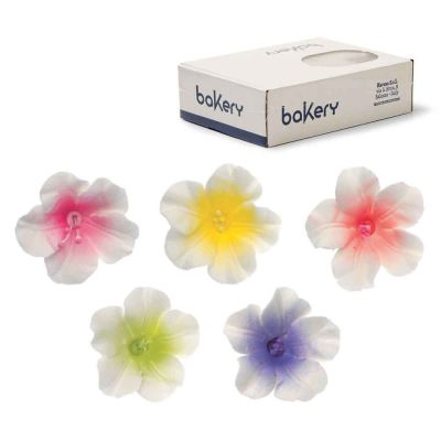 12 Decorazioni Azalee colorate in zucchero Bakery