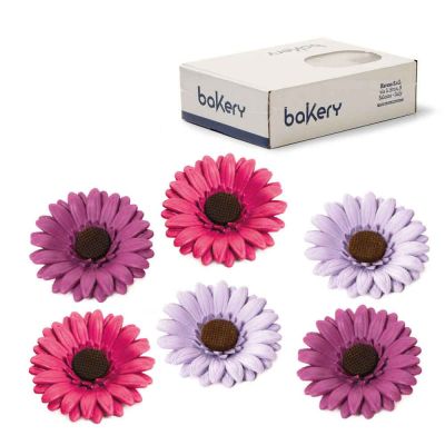 12 Decorazioni gerbere glicine fucsia violetto in zucchero Bakery