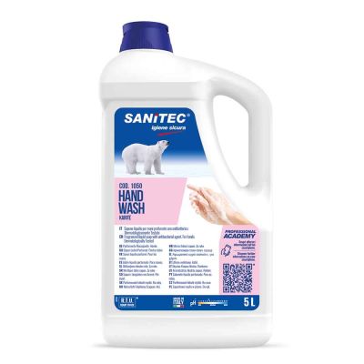 Hand Wash sapone liquido mani Karité Sanitec 5 L