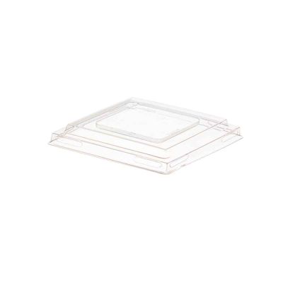 Coperchio piatto trasparente per Pagoda 90cc Goldplast