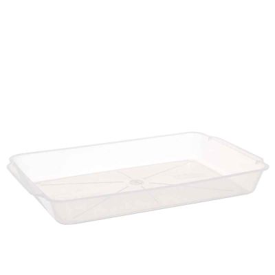 Contenitore per tiramisù in plastica riutilizzabile trasparente 36x23,2cm