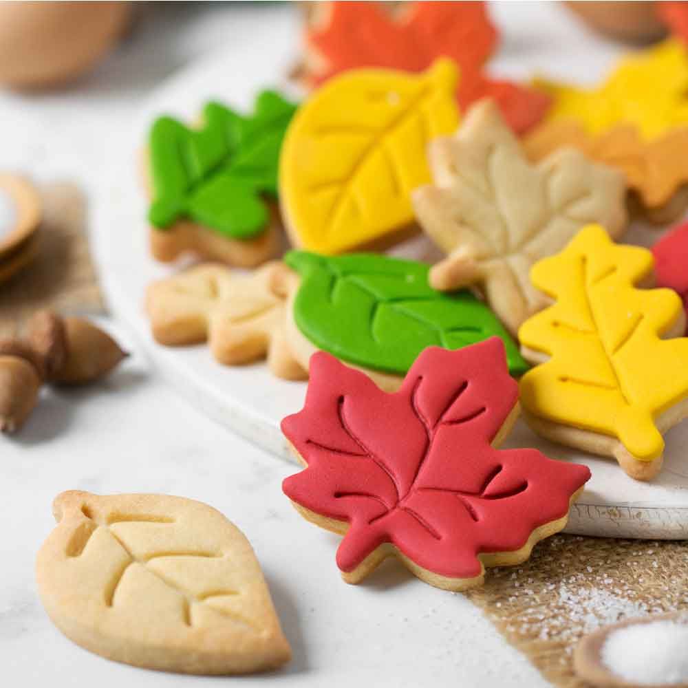 Set 3 Cutters tagliapasta in plastica foglie autunnali colorate