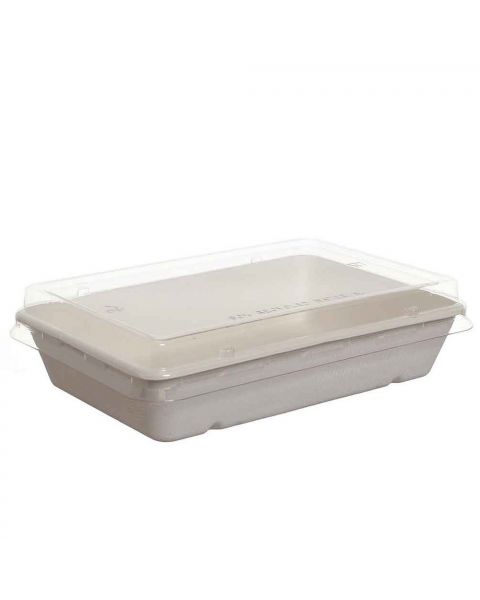 40 Vaschette con coperchio compostabili 1200ml in polpa di cellulosa 23 X 15,6 h 6 cm