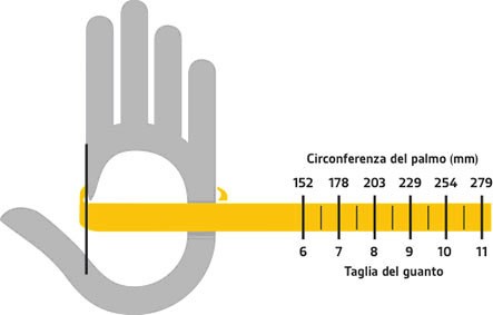 Scelta taglia guanto