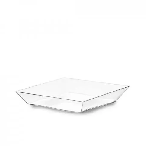 Piatti Di Plastica Rigida Quadrati Eleganti Vanity 16x16cm Papolab